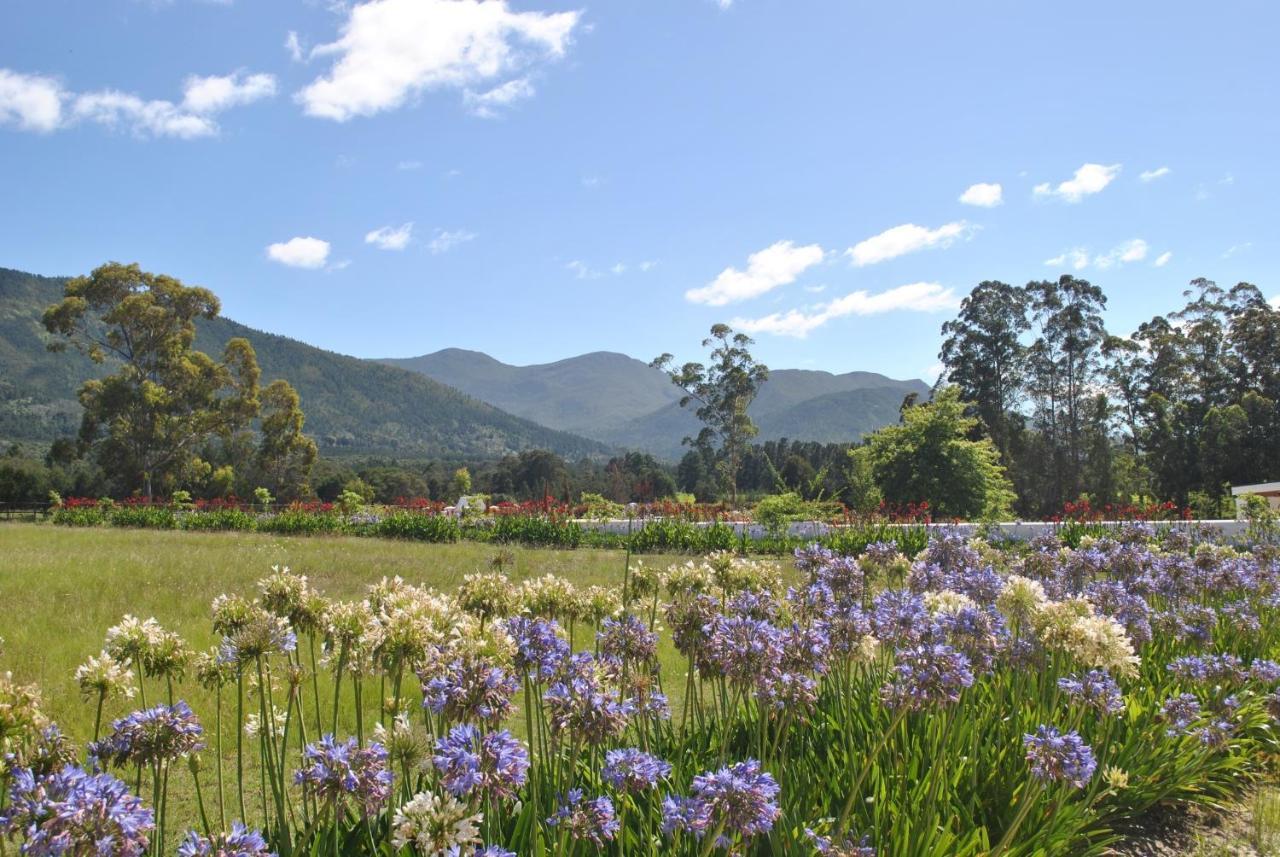 Lombard Villa Plettenberg Bay Luaran gambar